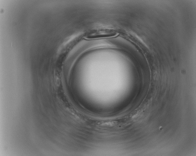 X0000071381303200607142100