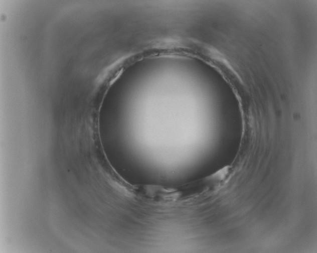 X0000071381304200607142100