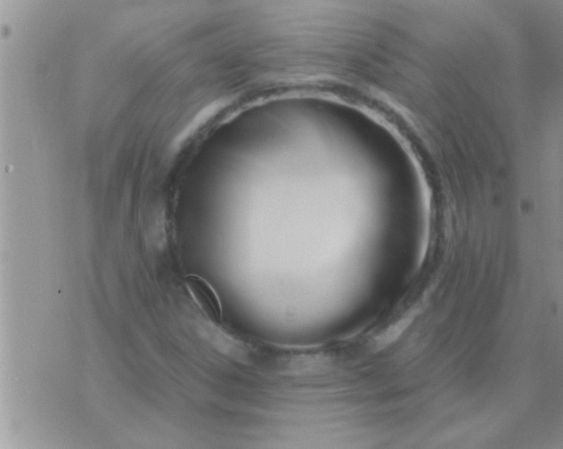 X0000071381306200607142100