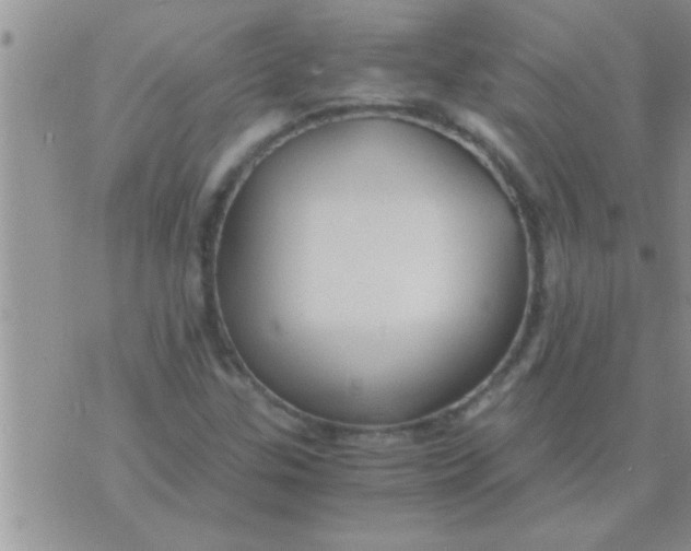 X0000071381307200607142100