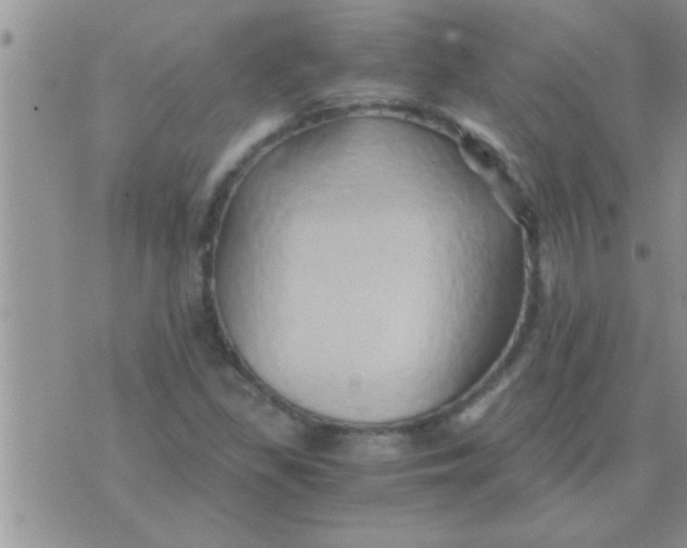 X0000071381309200607142100