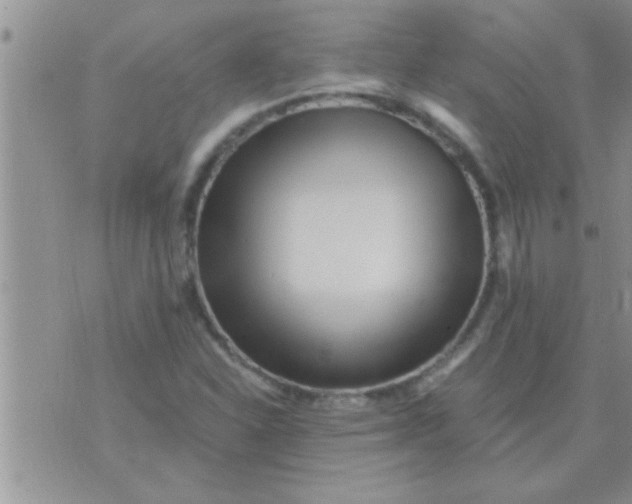 X0000071381310200607142100