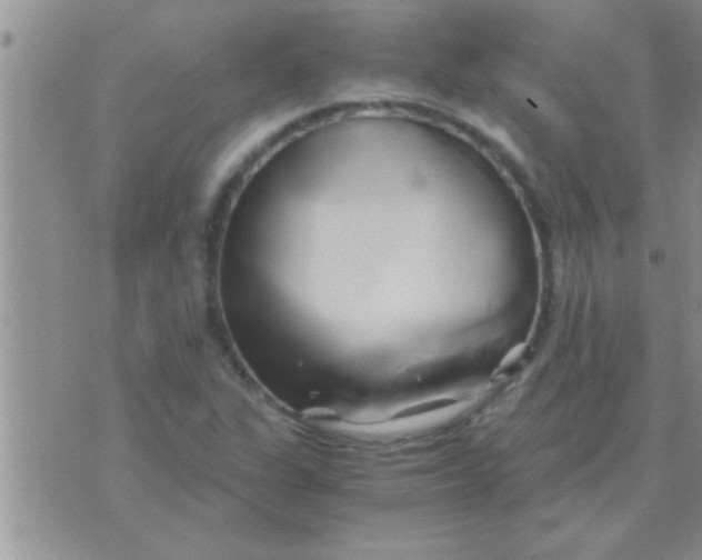 X0000071381311200607142100