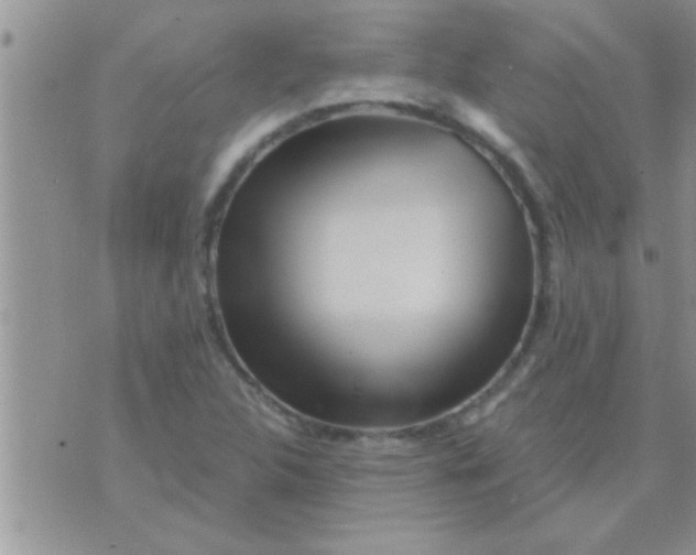 X0000071381312200607142100