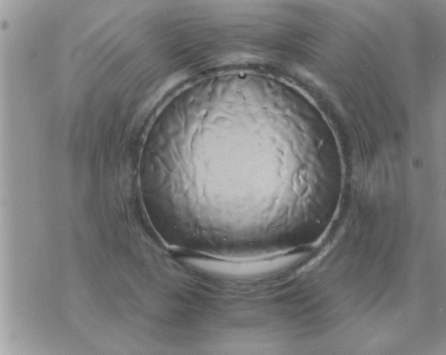 X0000071381313200607142100