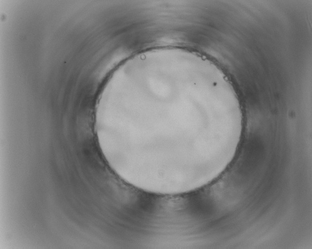 X0000071381314200607142100