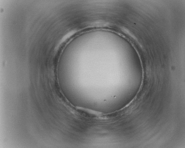 X0000071381315200607142100