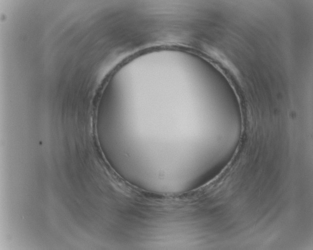 X0000071381316200607142100