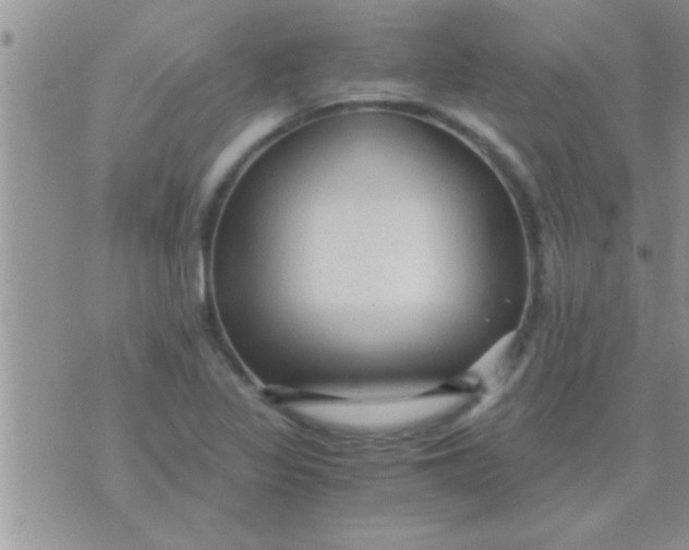 X0000071381317200607142100