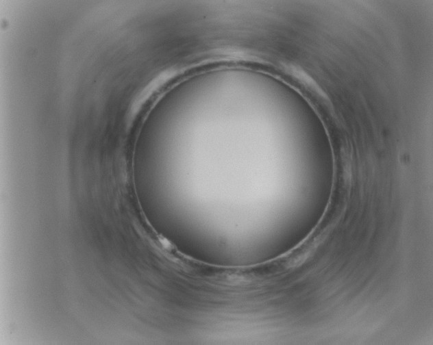 X0000071381318200607142100