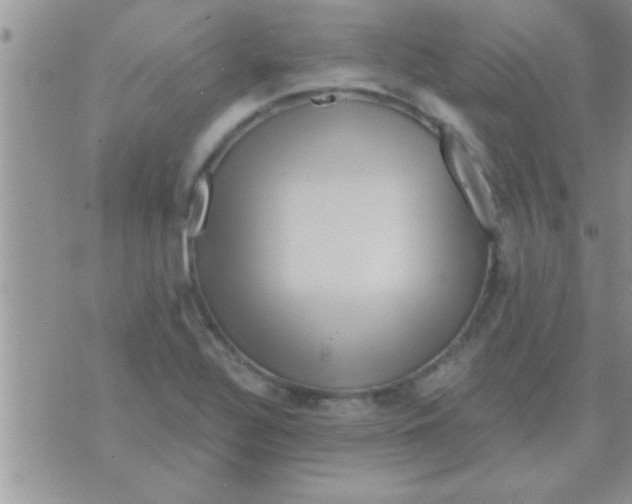 X0000071381320200607142100