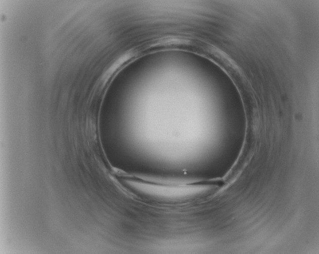 X0000071381321200607142101