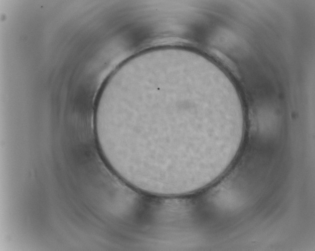 X0000071381322200607142101