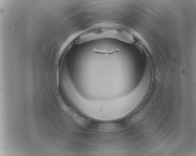 X0000071381323200607142101