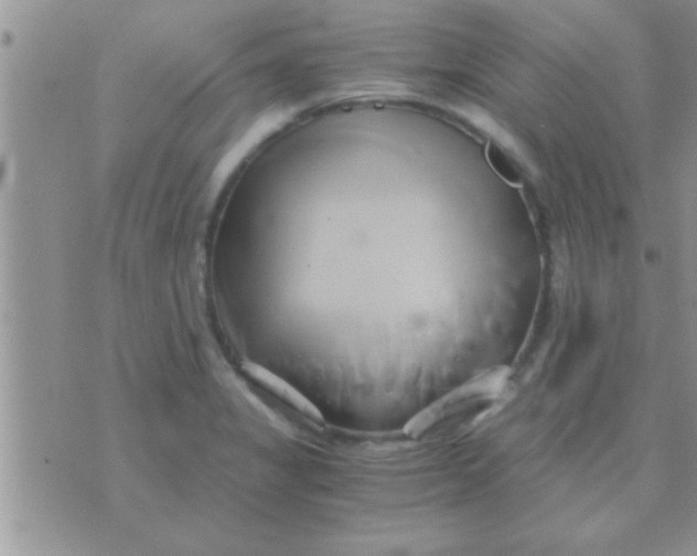 X0000071381325200607142101