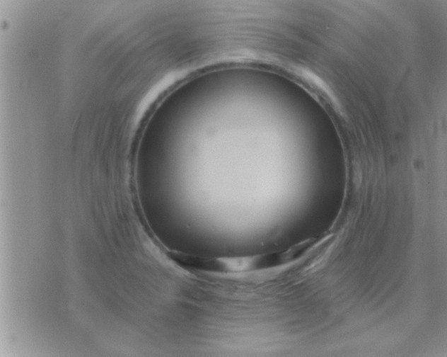 X0000071381326200607142101