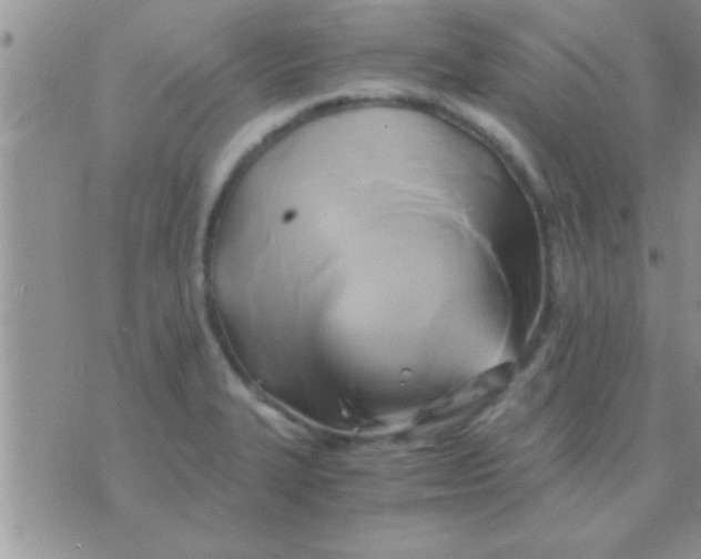 X0000071381327200607142101