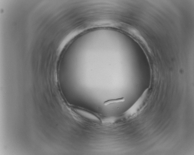 X0000071381328200607142101