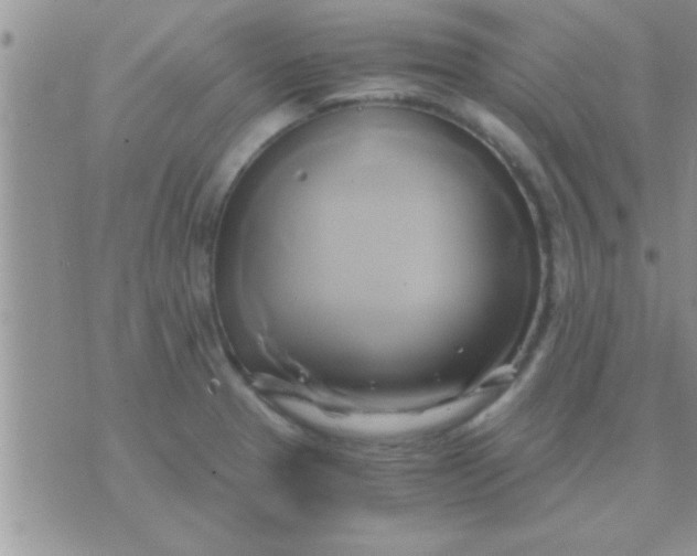 X0000071381329200607142101