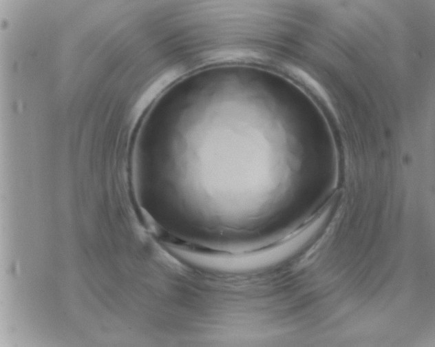 X0000071381330200607142101