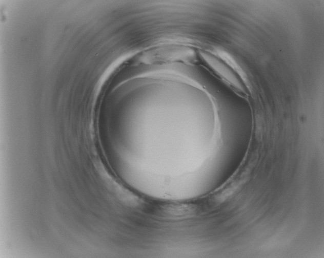 X0000071381331200607142101