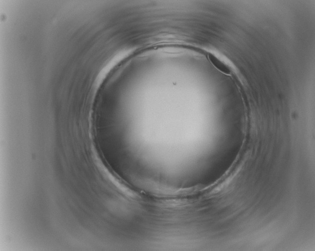 X0000071381333200607142101