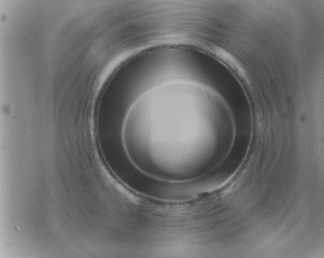 X0000071381334200607142101