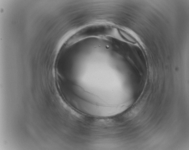 X0000071381335200607142101