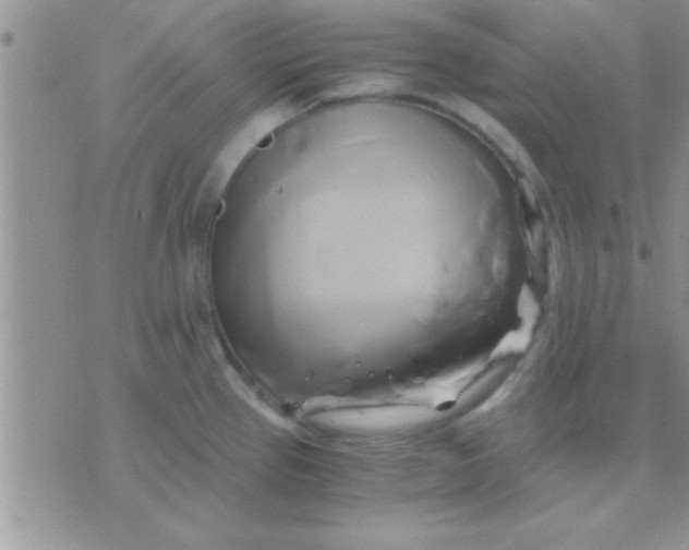 X0000071381337200607142101