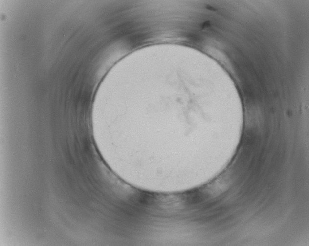 X0000071381338200607142101