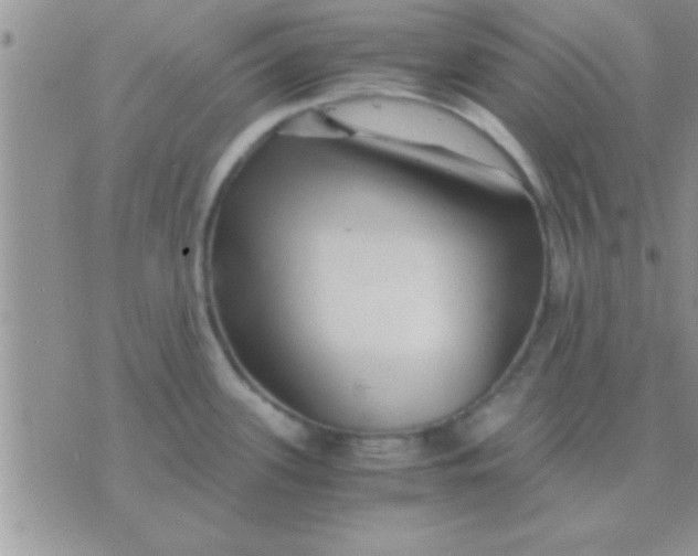 X0000071381339200607142101