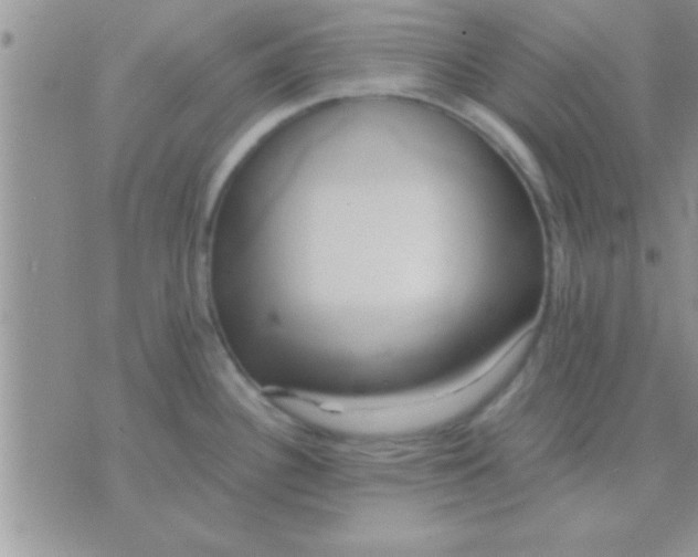 X0000071381340200607142101