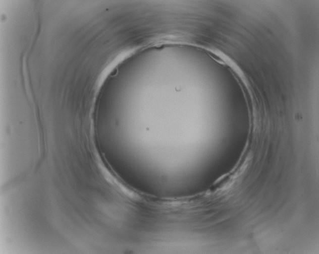 X0000071381341200607142101