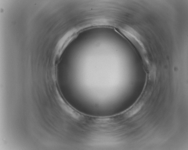 X0000071381342200607142101