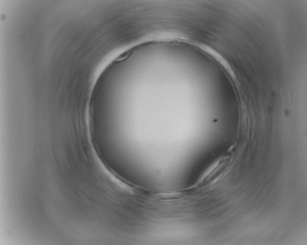 X0000071381343200607142101