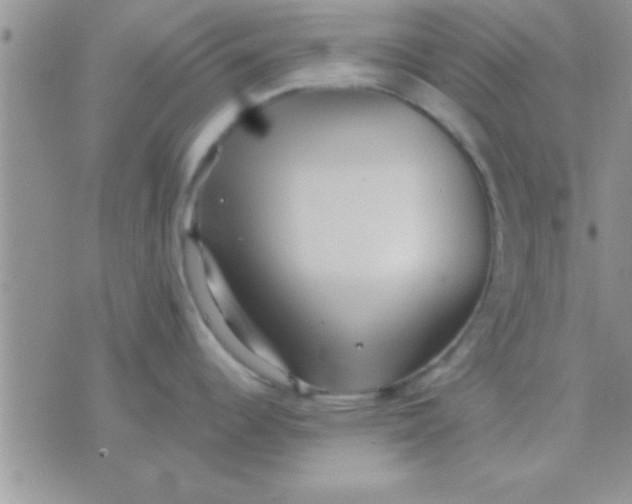 X0000071381344200607142101