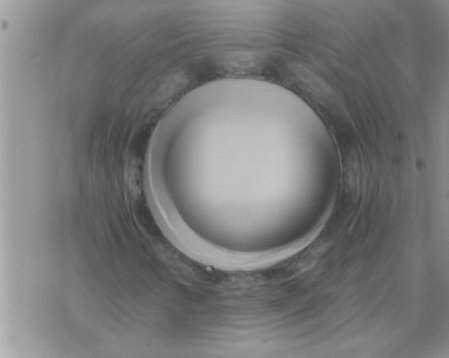 X0000071381346200607142100