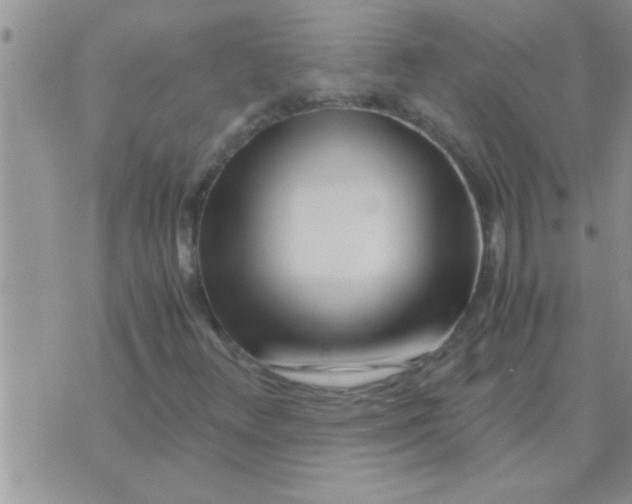 X0000071381348200607142100