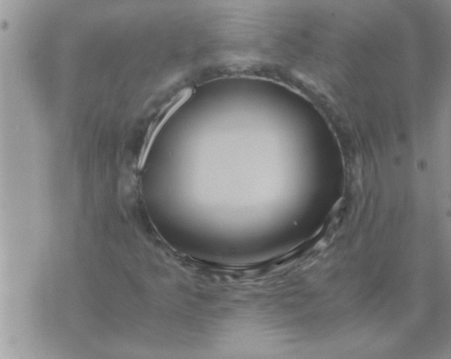 X0000071381349200607142100