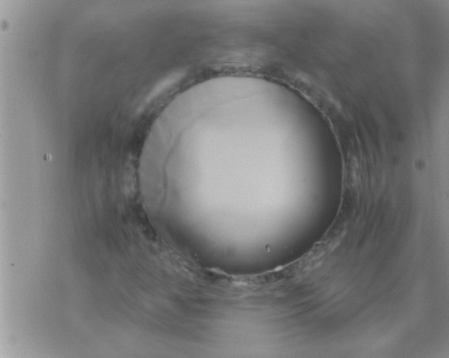 X0000071381350200607142100