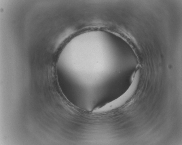 X0000071381352200607142100