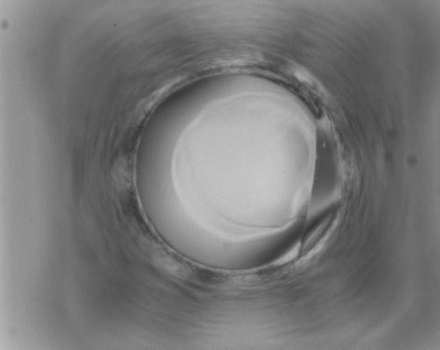 X0000071381353200607142100