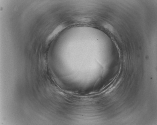 X0000071381354200607142100