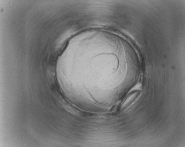 X0000071381355200607142100