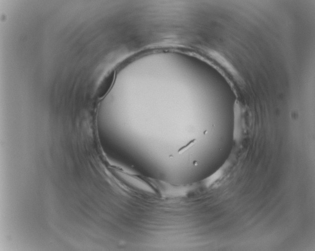 X0000071381356200607142100