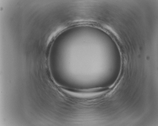 X0000071381357200607142100