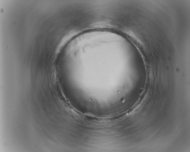 X0000071381358200607142100