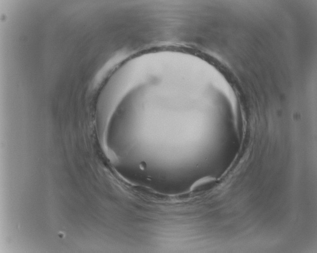 X0000071381359200607142100