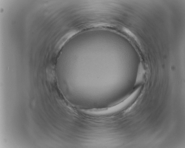 X0000071381361200607142100