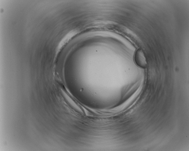 X0000071381362200607142100